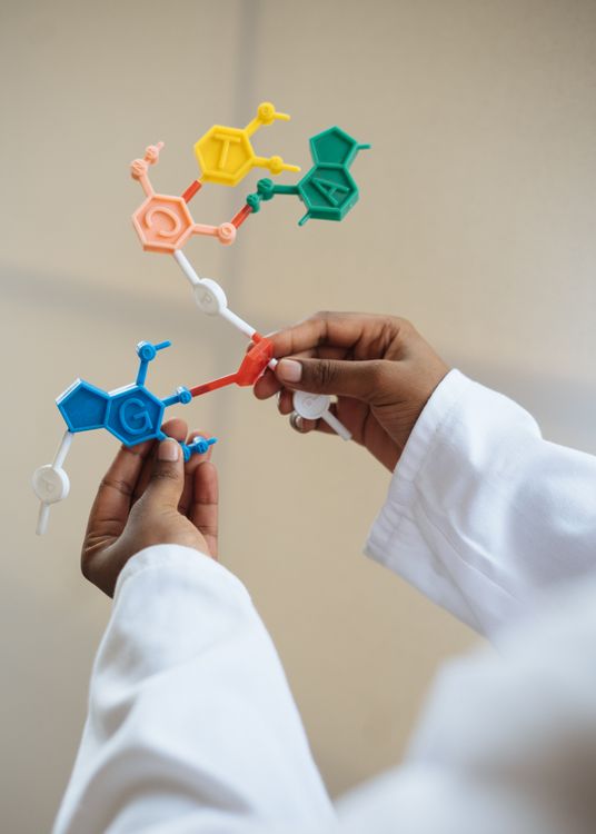 Choosing Ultrapure Water for Research Labs: From Cell Culture to Molecular Biology